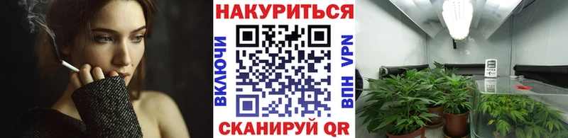 Бошки Шишки семена  Гремячинск 